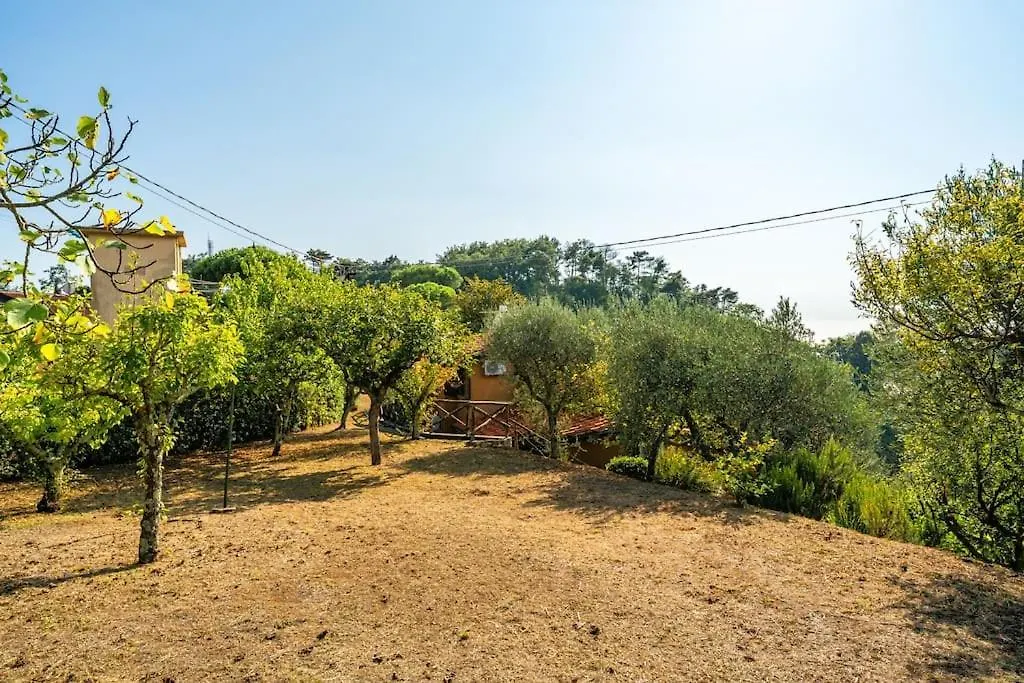 Villa Casa Tramonto Mommio Casa vacanze