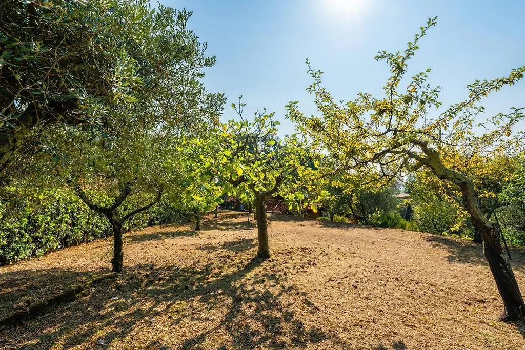 Villa Casa Tramonto Mommio